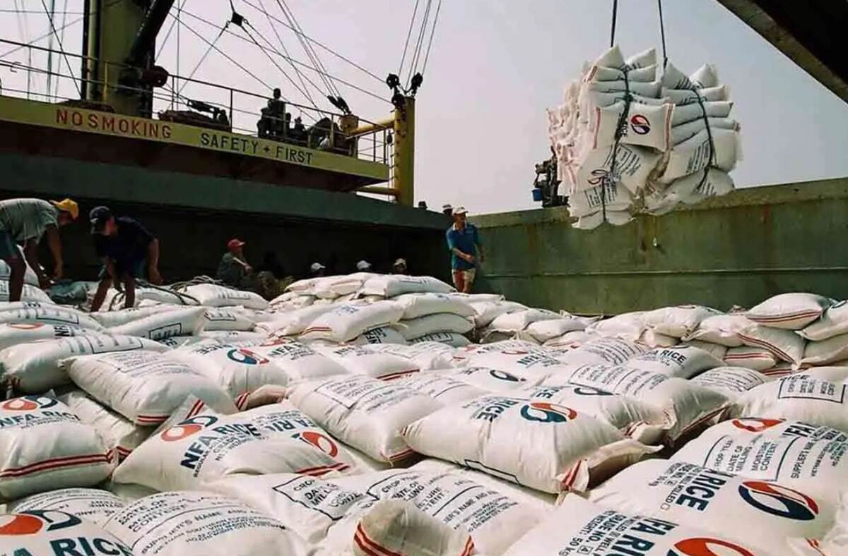 دومینوی اشتباهات وزارت جهاد؛ از ارز ترجیحی تا قیمتگذاری برنج در کشور صادرکننده!