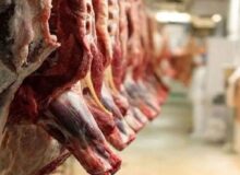 ردپای گوشتهای وارداتی در تب برفکی+ جزئیات