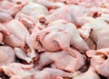 رکوردشکنی عجیب قیمت مرغ در تهران/ قیمت جدید مرغ اعلام شد