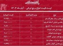 قیمت جدید انواع برنج ایرانی ۲۳ آبان ۱۴۰۴ / کیسه ۱۰ کیلویی برنج صدری، هاشمی، طارم و…چند شد؟ + جدول