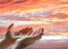 قمار شکر بر سر هستی؛ چرا شکر، نعمت را پشت سر می‌گذارد